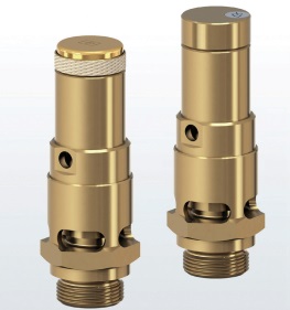 safety valve 810 series